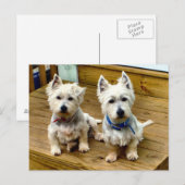 Spike und Polar Postcard. Postkarte (Vorne/Hinten)
