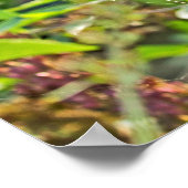 Spike Web on Butterfly Bush Poster (Ecke)