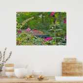 Spike Web on Butterfly Bush Poster (Küche)