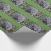 Spike Wrapping Paper Geschenkpapier (Ecke)