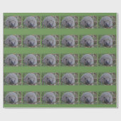 Spike Wrapping Paper Geschenkpapier (Flach)