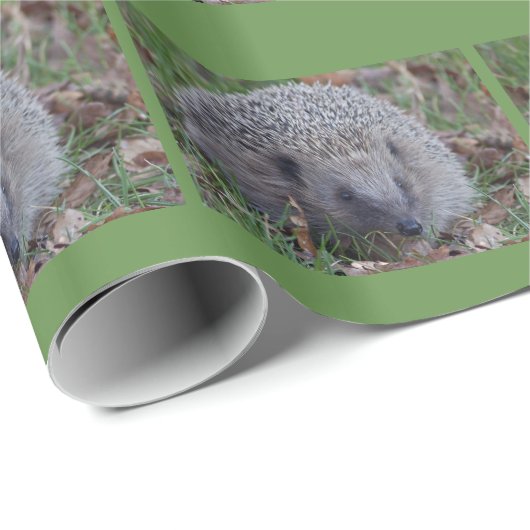 Spike Wrapping Paper Geschenkpapier (Rolleneckpunkt)