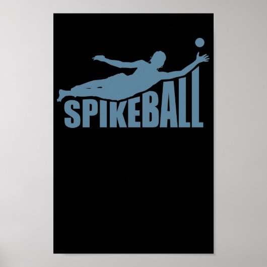 Spikeball Ballsport Freizeit Roundball Poster (Vorne)