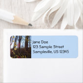 Spikebush-Blume im Frühjahr (Insitu)