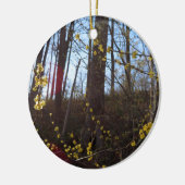 Spikebush-Blume im Frühjahr Keramik Ornament (Links)