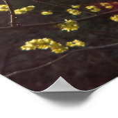 Spikebush-Blume im Frühjahr Poster (Ecke)