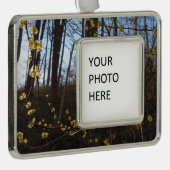 Spikebush-Blume im Frühjahr Rahmen-Ornament Silber (Rechts)