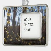 Spikebush-Blume im Frühjahr Rahmen-Ornament Silber (Links)