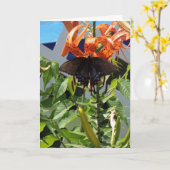 Spikebush Frack/Alltagswunder Karte (Gelbe Blume)