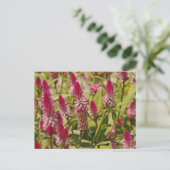 Spiked-Blume Postkarte (Stehend Vorderseite)