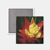 Spiky-Blume-Magnet Magnet (Vorderseite/Rückseite)