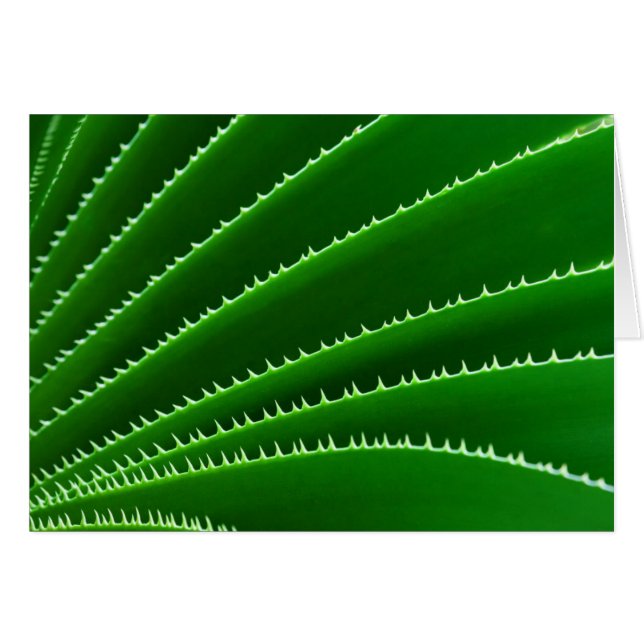 Spiky Green Leaf Muster (Vorderseite (Horizontal))
