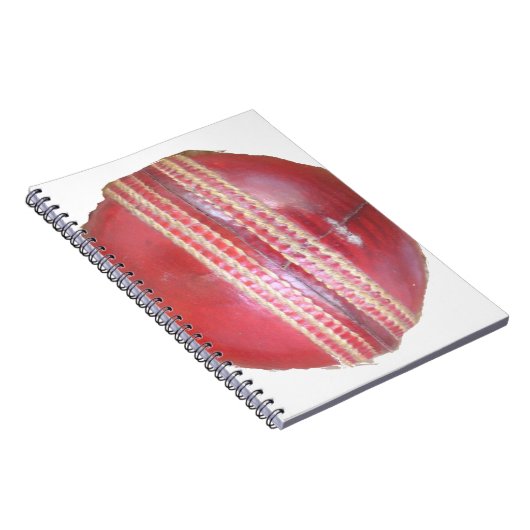 Spin Master's Sphere: Ein Spaß Verlassen Spin Cric Notizblock (Rechte Seite)