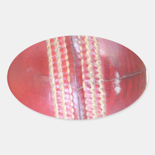 Spin Master's Sphere: Ein Spaß Verlassen Spin Cric Ovaler Aufkleber (Vorderseite)