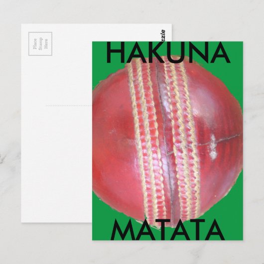 Spin Master's Sphere: Ein Spaß Verlassen Spin Cric Postkarte (Vorne/Hinten)