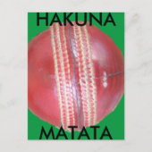 Spin Master's Sphere: Ein Spaß Verlassen Spin Cric Postkarte (Vorderseite)