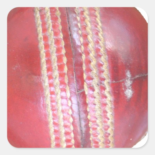 Spin Master's Sphere: Ein Spaß Verlassen Spin Cric Quadratischer Aufkleber (Vorderseite)