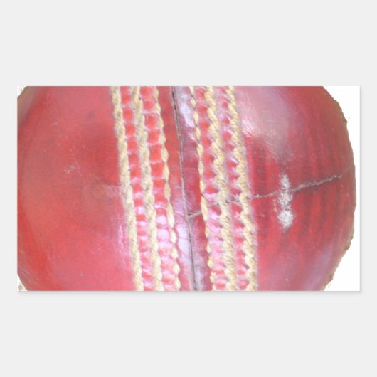 Spin Master's Sphere: Ein Spaß Verlassen Spin Cric Rechteckiger Aufkleber (Vorderseite)