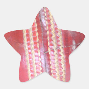 Spin Master's Sphere: Ein Spaß Verlassen Spin Cric Stern-Aufkleber