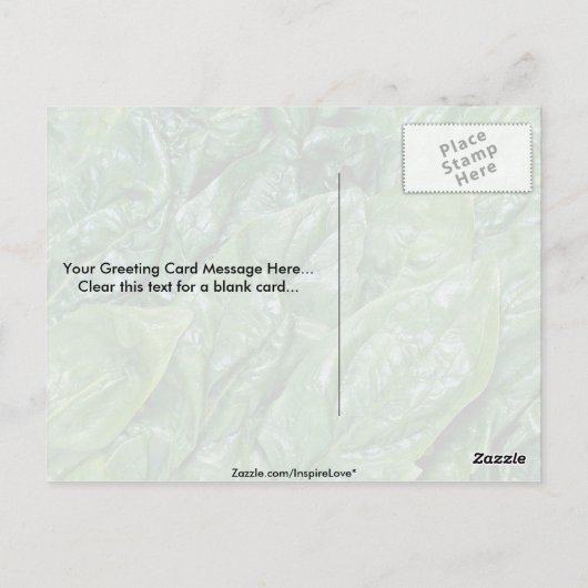 Spinach-Blätter Postkarte (Rückseite)