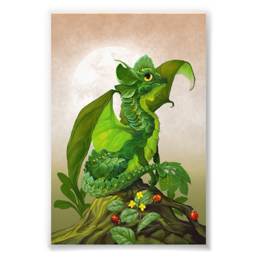 Spinach Dragon 4x6 Print Fotodruck (Vorne)