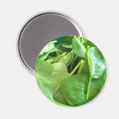 Spinach Magnet (Vorderseite/Rückseite)