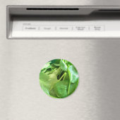 Spinach Magnet (In Situ (Geschirrspüler))