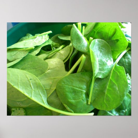 Spinach Poster (Vorne)