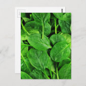 Spinach Postkarte (Vorne/Hinten)