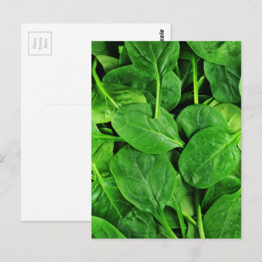 Spinach Postkarte (Vorne/Hinten)