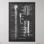 Spinal Cord Anatomie Art print Nr.1 Poster (Vorne)