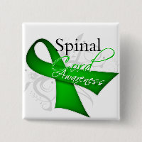 Spinal Cord Verletzungen Sensibilisierungskette