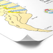 Spinal Degeneration Disk Herniation Poster (Ecke)