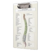 Spinale Dereneration Chiropractic Klemmbrett (Links)