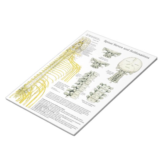 SpinalNerven-Subluxation reißt die Pads ab Notizblock (angewinkelt)