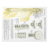 SpinalNerven-Subluxation reißt die Pads ab Notizblock (Vorderseite)