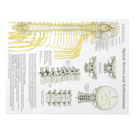 SpinalNerven-Subluxation reißt die Pads ab Notizblock (Vorderseite)