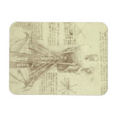 Spinalsäule des Menschen von Leonardo da Vinci Magnet (Horizontal)