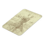 Spinalsäule des Menschen von Leonardo da Vinci Magnet (Linke Seite)