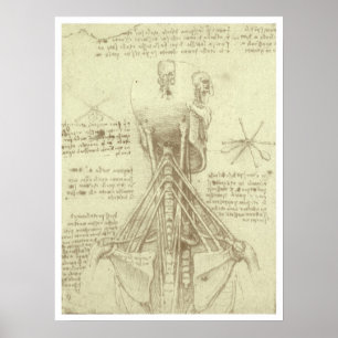 Spinalsäule des Menschen von Leonardo da Vinci Poster