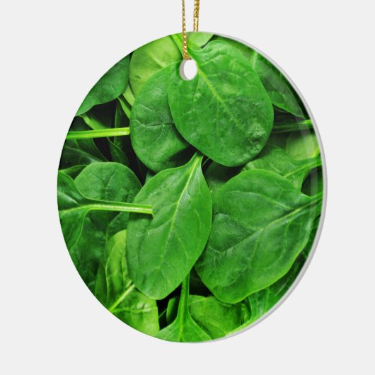 Spinat Keramik Ornament (Links)