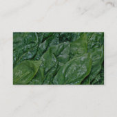 Spinats-Blätter Visitenkarte (Rückseite)