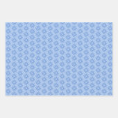 Spinchillas Geschenkpapier Set (Vorderseite 3)