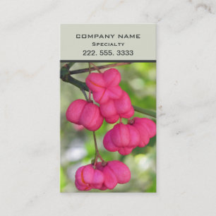 Spindlerbeeren rosa visitenkarte