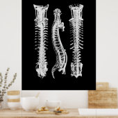 Spine Anatomie Art Poster (Küche)