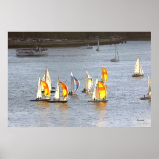 Spinnakers greifen den Wind an Poster