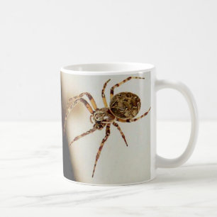 Spinne 01 kaffeetasse