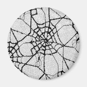 Spinne 1 magnet