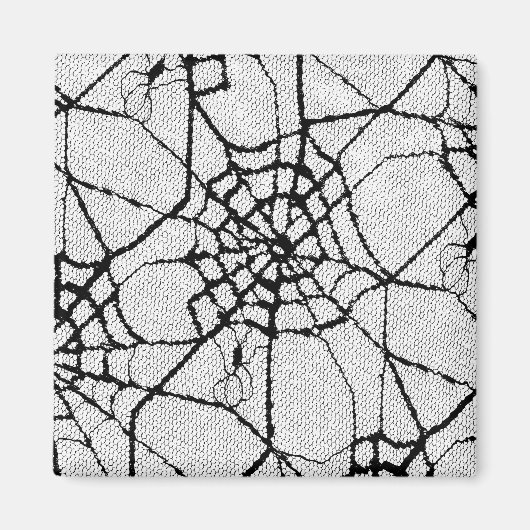 Spinne 1 magnet (Vorne)