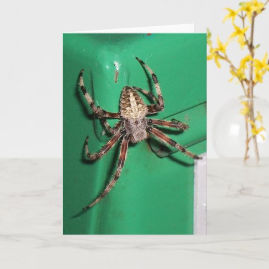 Spinne 7704 - Vertikal Karte (Gelbe Blume)